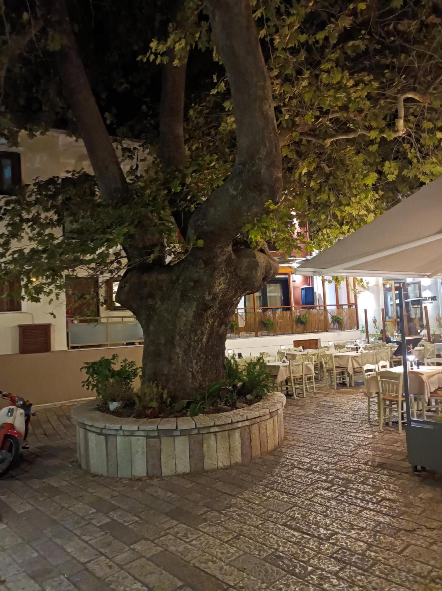 דירות נפפקטוס Kelly'S Penthouse מראה חיצוני תמונה